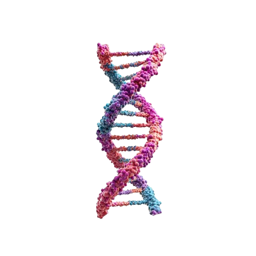 Representación visual del ADN de marca · ADN de Marca B2B · Compartamos Redes